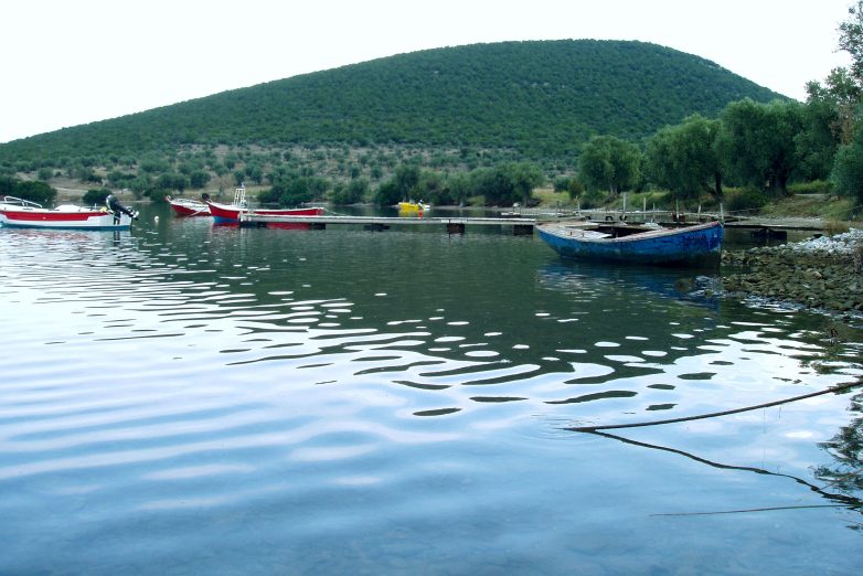 Αντιδρούν οι Οικολόγοι Πράσινοι σε επενδύσεις στη Μαγνησία