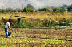 Παράταση υποβολής Δηλώσεων για Εφαρμογή δράσεων του Μέτρου 2.1.4 «Γεωργοπεριβαλλοντικές ενισχύσεις»