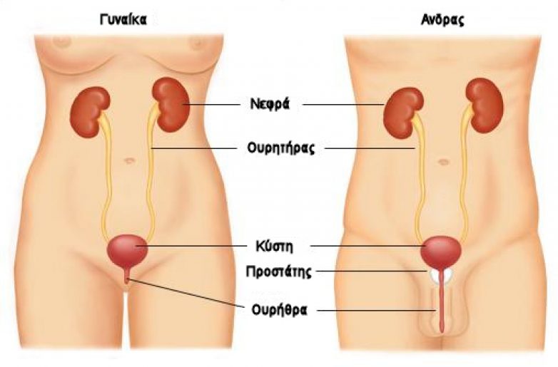 Ουρολοίμωξη: 4 tips για να την αποφύγετε