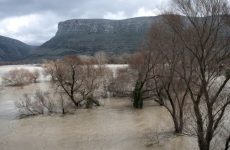 Ζημιές στις καλλιέργειες του Δήμου Βόλου