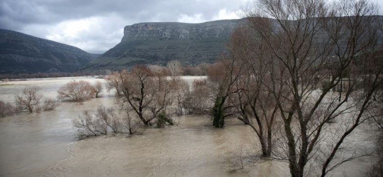 Ζημιές στις καλλιέργειες του Δήμου Βόλου