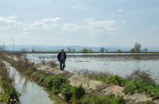 Παρατείνεται η προθεσμία υποβολής αιτήσεων ενιαίας ενίσχυσης από αγρότες