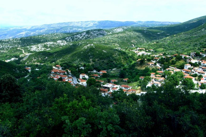 Aπάντηση δημοτικής αρχής στη διαμαρτυρία του Δ.Σ. του Πολιτιστικού συλλόγου Κερασιάς για την κοπή δέντρων στην Άνω Κερασιά