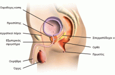 Νέα δεδομένα στην αφαίρεση του προστάτη