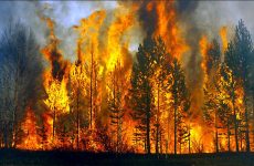 Ρωσία: Τεράστιες δασικές πυρκαγιές μαίνονται στην Σιβηρία