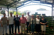Πάνω από 60 τόνους φρούτων διένειμε η Περιφέρεια Θεσσαλίας στους δήμους της περιοχής