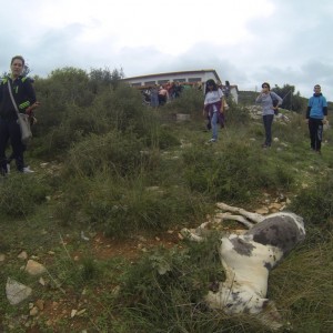 DCIM102GOPRO