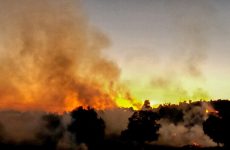 Πυρκαγιά στην Βρύναινα έκαψε  πουρνάρια και ξερά χόρτα