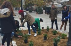 Περιβαλλοντικές πινελιές στο κέντρο του Βελεστίνου πραγματοποίησε ο Δήμος Ρήγα Φεραίου και οι μαθητές του ΕΠΑΛ Βελεστίνου