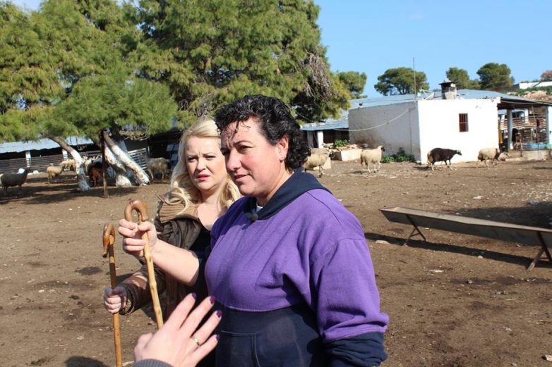 Ο καθημερινός αγώνας των κτηνοτρόφων Αττικής