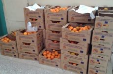 Διανομή φρούτων σε όλα τα σχολεία από τη δημοτική αρχή Νοτίου Πηλίου
