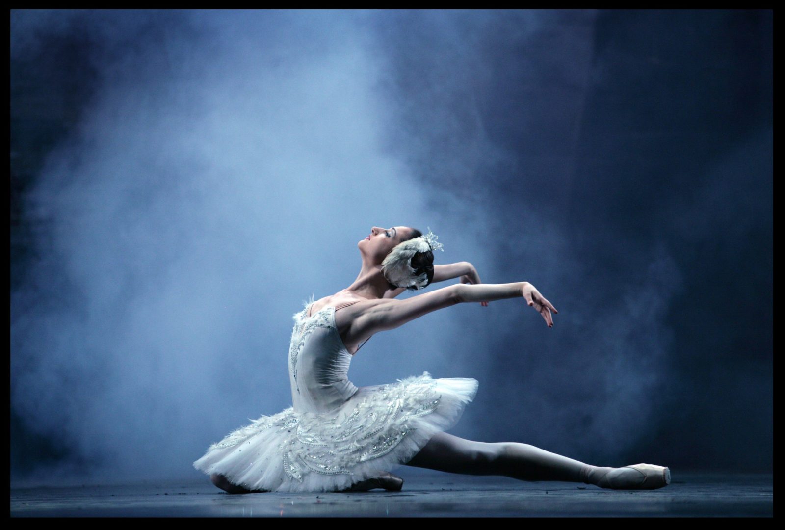 Swan Lake 03