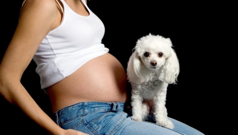 Εγκυμοσύνη και κατοικίδια: Απλοί κανόνες για… υγιή συμβίωση