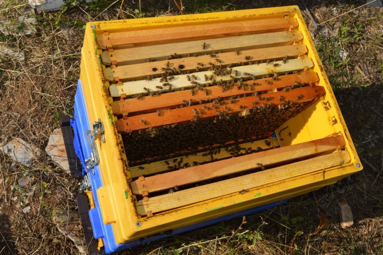 Κατάθεση αιτήσεων και δικαιολογητικών στο Κέντρο Μελισσοκομίας Θεσσαλίας