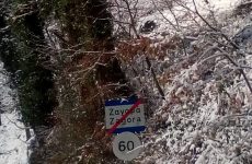 Πτώσεις δέντρων άφησαν χωρίς  ρεύμα το δήμο Ζαγοράς-Μουρεσίου