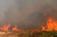 Μεγάλη φωτιά στις εγκαταστάσεις του Ιππικού Ομίλου στο Σέσκλο