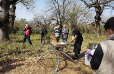 Ξεκίνησε το κυνήγι τρούφας στα Μετέωρα