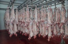 ΑΚΚΕΛ: Ο ΥΠΑΑΤ Βορίδης απαγορεύει τους κτηνοτρόφους να είναι παρόντες στο σφαγείο κατά το ζύγισμα των ζώων τους