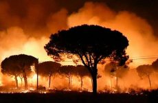 Μεγάλη πυρκαγιά στην Ισπανία