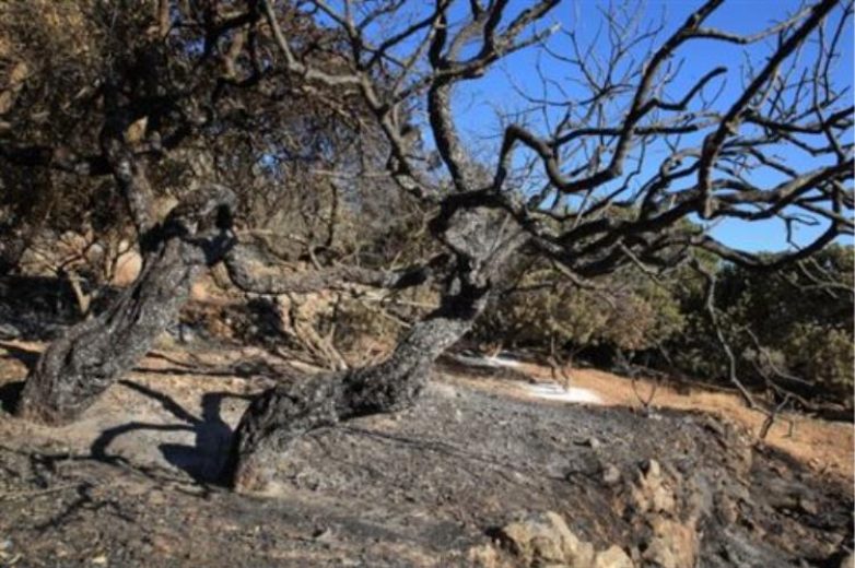 Αγνόησαν τις προειδοποιήσεις του δημάρχου Κυθήρων