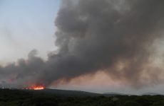 Υπό μερικό έλεγχο η φωτιά στην Ανάβρα