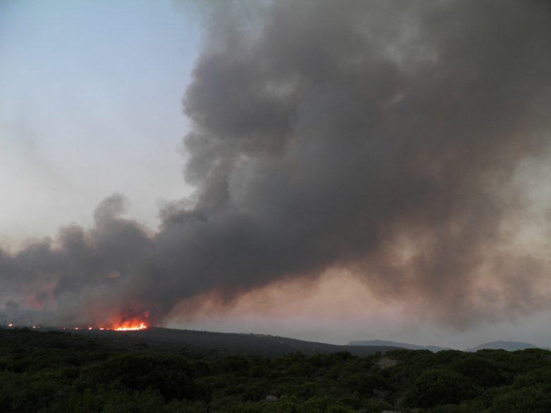 Φωτιά στον Πλάτανο Αλμυρού