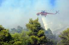 Πυρκαγιά από κεραυνό μέσα στον Εθνικό Δρυμό της Οίτης