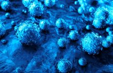 HPV: Ο ιός και η φυσική ιστορία της λοίμωξης