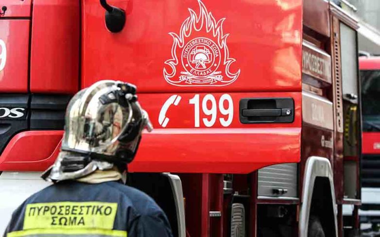 Μοσχαράκι απεγκλώβισαν πυροσβέστες στη διασταύρωση Κεραμίδι – Βένετο 