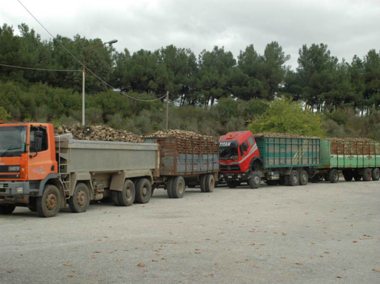 Κατάληψη στο εργοστάσιο ζάχαρης από τους τευτλοπαραγωγούς