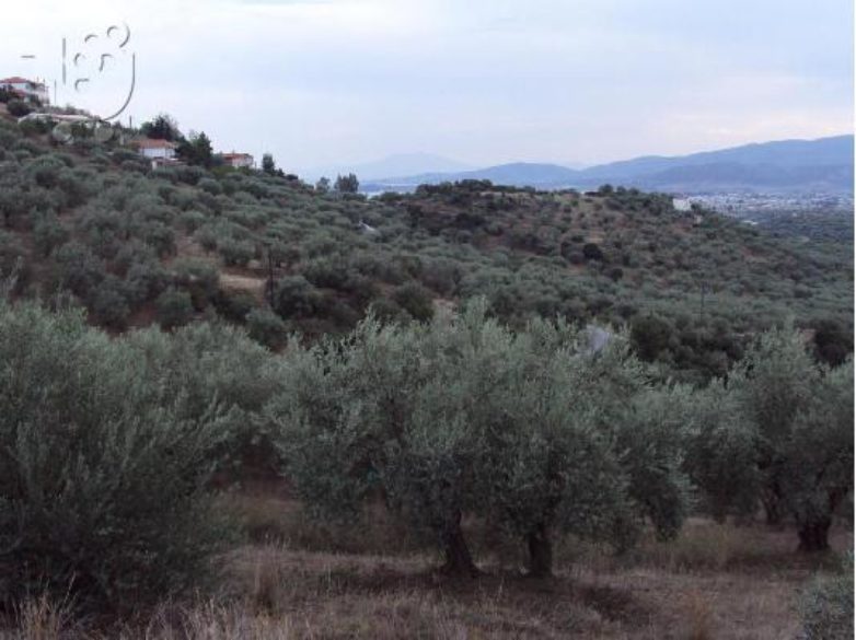 Αποκαταστάθηκε η βλάβη ύδρευσης  στο Φυτόκο