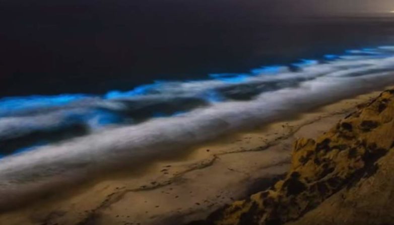 Το φαινόμενο που δίνει στις ακτές της Καλιφόρνια μια απόκοσμη μπλε λάμψη