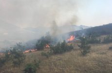 Πυρκαγιά στο Συκούριο Λάρισας