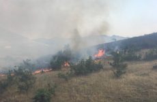 Φωτιές σε Νέα Αγχίαλο και Αλμυρό