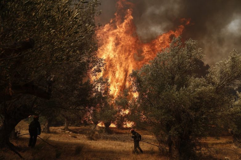 Κύπρος: Πυρκαγιά μαίνεται στο κρατικό δάσος της Πάφου