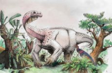 Νέος τεράστιος δεινόσαυρος ανακαλύφθηκε στη Νότια Αφρική