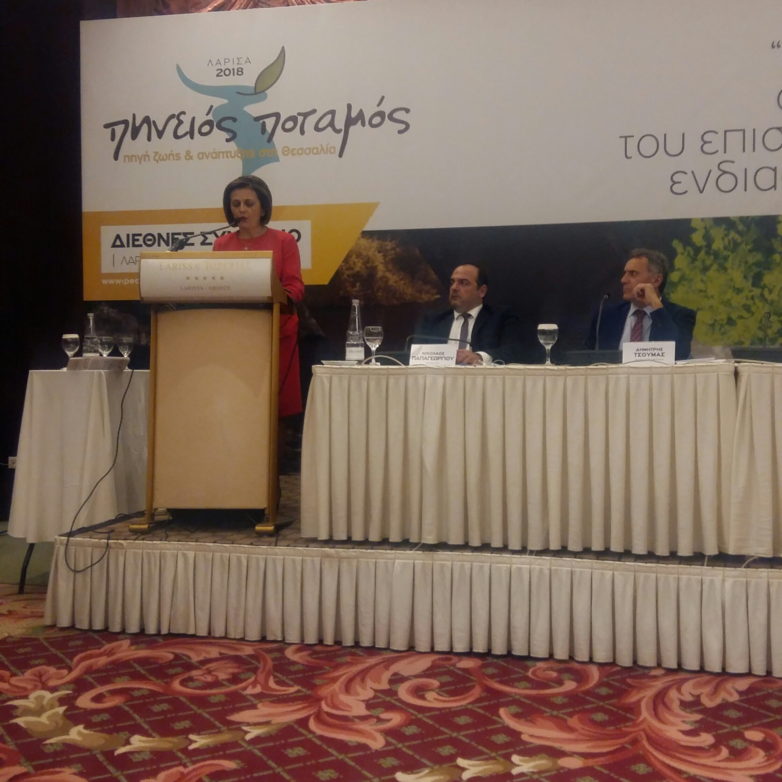 Η υφυπουργός Εσωτερικών Μαρίνα Χρυσοβελώνη στο 3ο Διεθνές Συνέδριο της Περιφερειακής Ένωσης Δήμων Θεσσαλίας για τον Πηνειό ποταμό