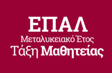 Επιτυχής ο θεσμός του «Μεταλυκειακού  Έτους- Τάξη Μαθητείας» των Επαγγελματικών Λυκείων