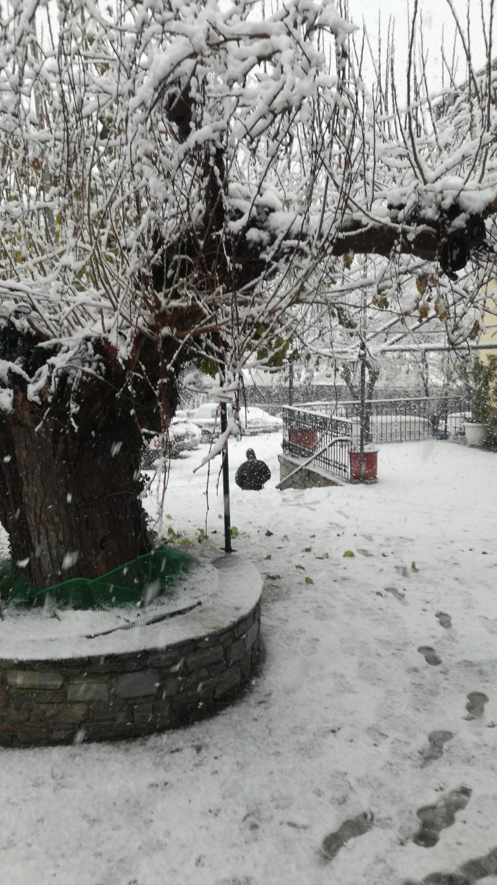Επί ποδός οι υπηρεσίες του Δήμου Ρήγα Φεραίου για την αντιμετώπιση της χιονόπτωσης