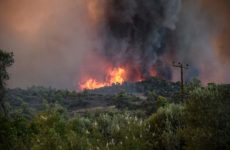 Φωτιά σε δασική έκταση στην Ανάβρα του Δήμου Αλμυρού