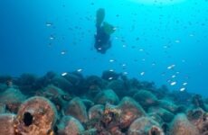 Υποβρύχια Μουσεία σε Αλόννησο, Δυτικό Παγασητικό και Κέντρα Ενημέρωσης Κοινού Κέντρο Υποβρύχιων Μουσείων