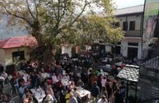 Πλήθος κόσμου στη γιορτή μανιταριού και βοτάνων στη Μακρυρράχη Πηλίου