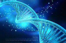 Παγκόσμια Ημέρα DNA 2020 η 25η Απριλίου