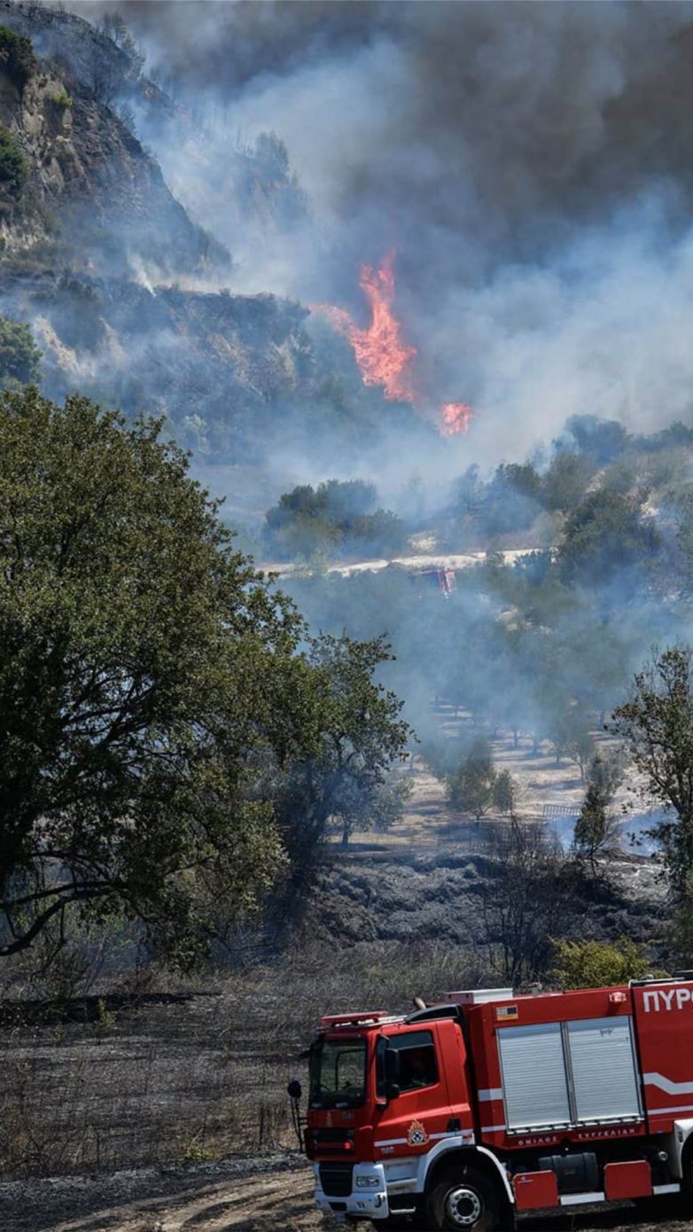 Φωτιά σε ελαιοπερίβολο στη Δράκεια Πηλίου