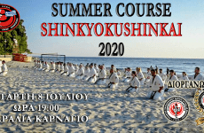 “Summer Course 2020” στην παραλία Καρνάγιο-Κάτω Λεχωνίων