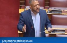 Αλ. Μεϊκόπουλος: «Το Υπουργείο να καλύψει άμεσα τη συνταγογράφηση της εξέτασης για Covid-19 σε παιδιά»