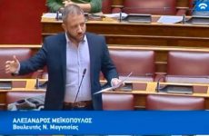 Ο Αλ. Μεϊκόπουλος ζητάει άμεσες παρεμβάσεις στα γεφύρια Παλαιοκάστρου & Τσαγκαράδας