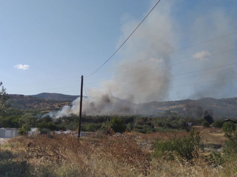 Υπό μερικό έλεγχο φωτιά σε αγροτική καλύβα στην περιοχή Δημητριάς