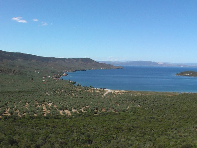 Κατά του Αλμυριώτη βουλευτή της ΝΔ η Π.Π.Μ.