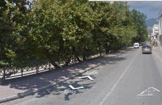 Αρνητικές οι μειοψηφίες στο κόψιμο δένδρων στην οδό Ζάχου
